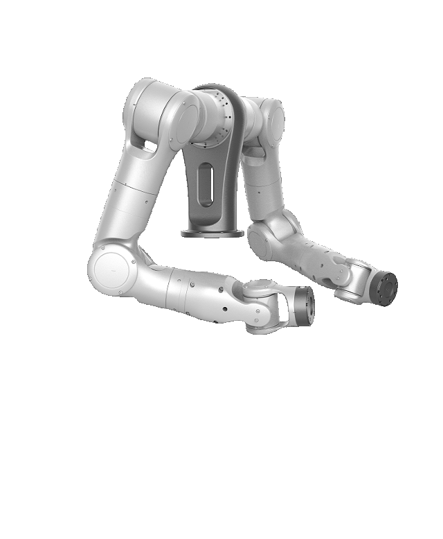 Humanoid Dual Arms