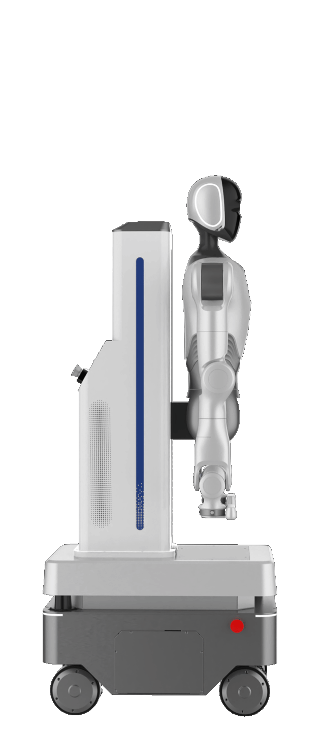 Lifting Robot